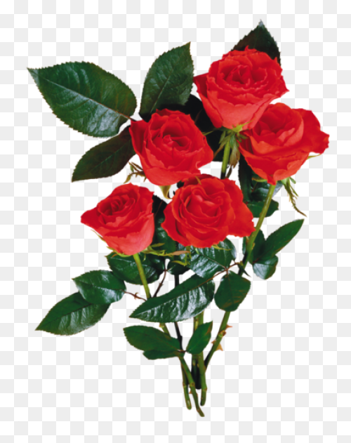 Bouquet Flower Rose - Free Vector G
