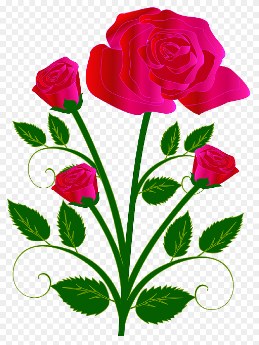Bouquet Flower Rose Free Vector - Bouquet Of Roses