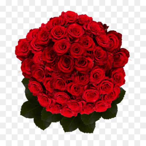 Bouquet Flower Rose - Free Vector G