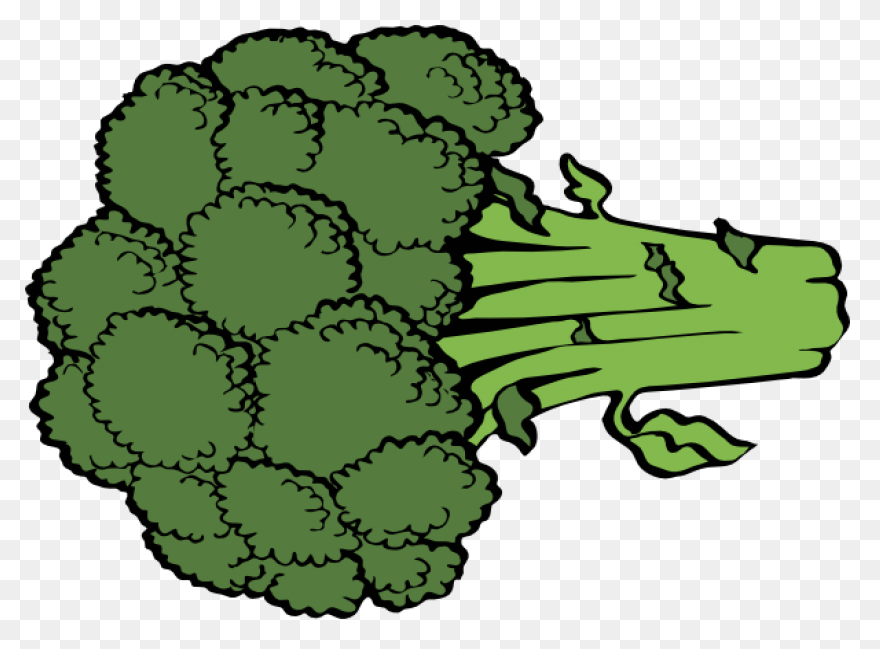 Broccoli Clipart At .com Vector - Broccoli