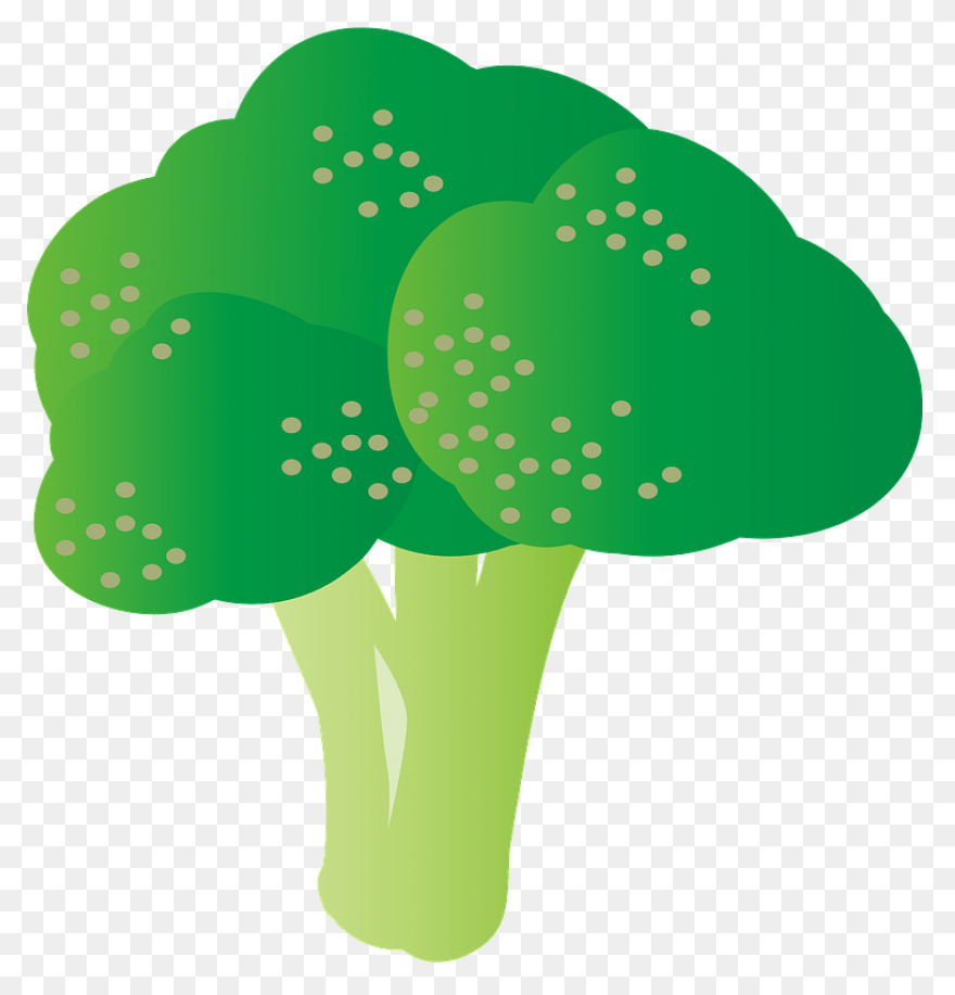 Broccoli Clip Art At ClipartFlare C