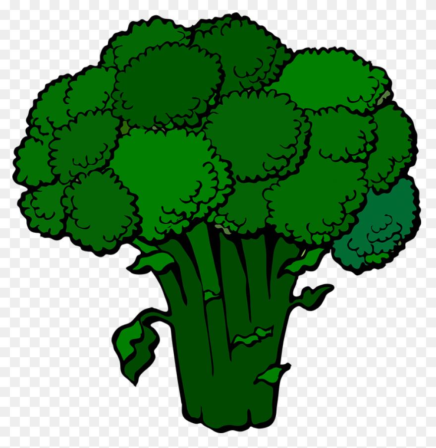 Broccoli Clip Art At ClipartFlare C