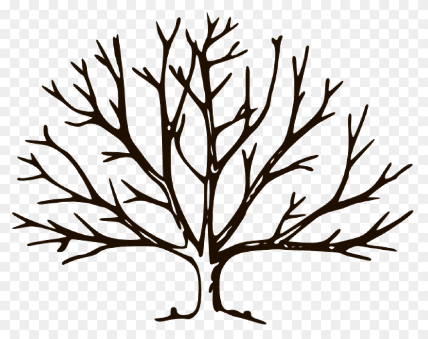 Branch Berries Ornament - Owl Tree 