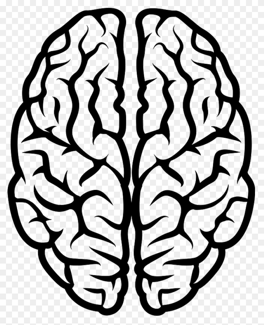 Lightbulb Clipart Human Brain - Bra