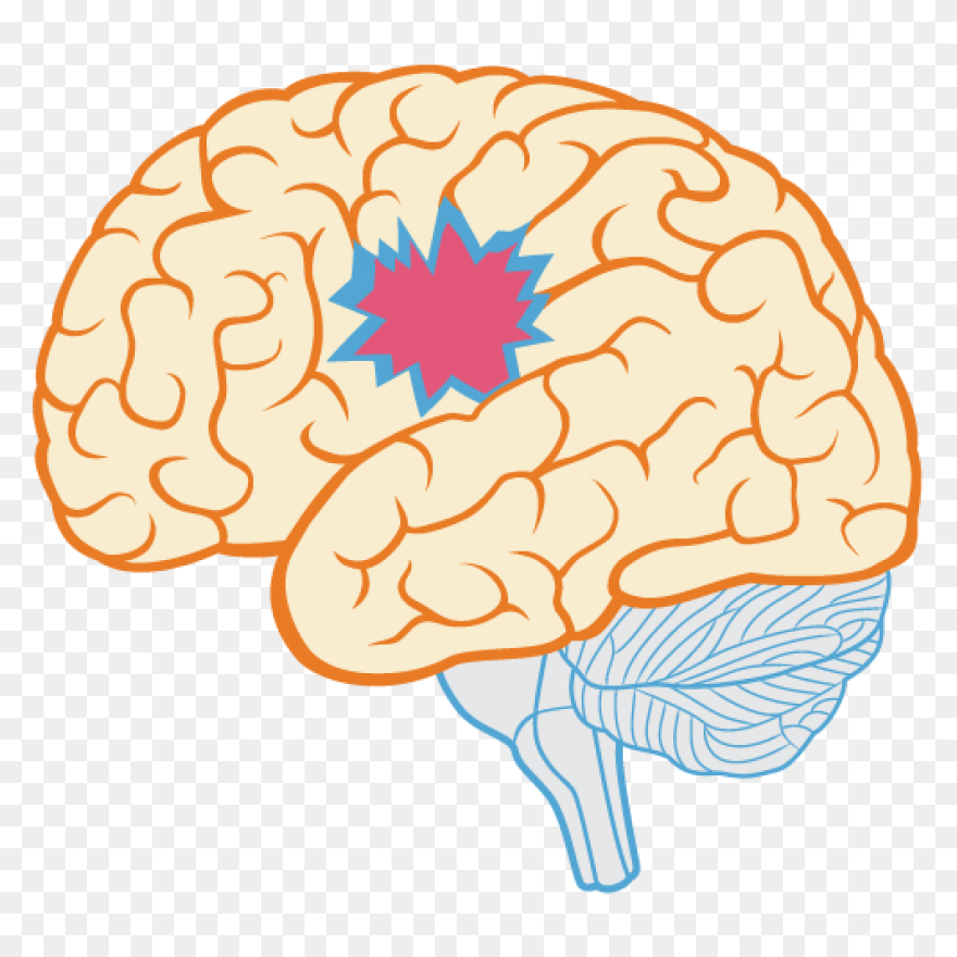 Lightbulb Clipart Human Brain - Bra