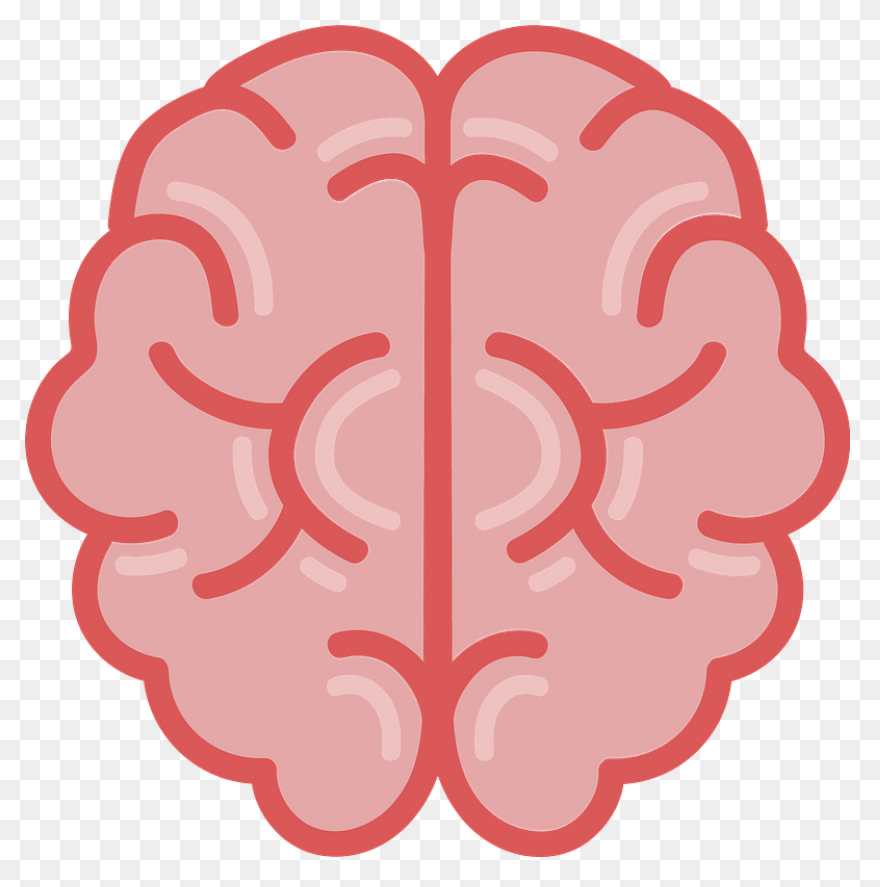 Lightbulb Clipart Human Brain - Bra