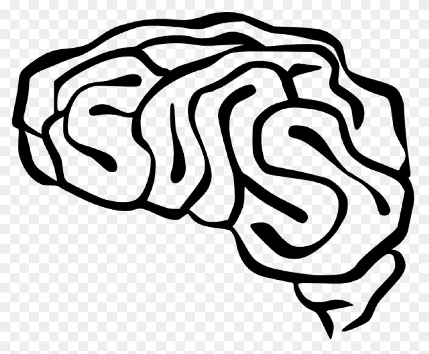 Lightbulb Clipart Human Brain - Bra