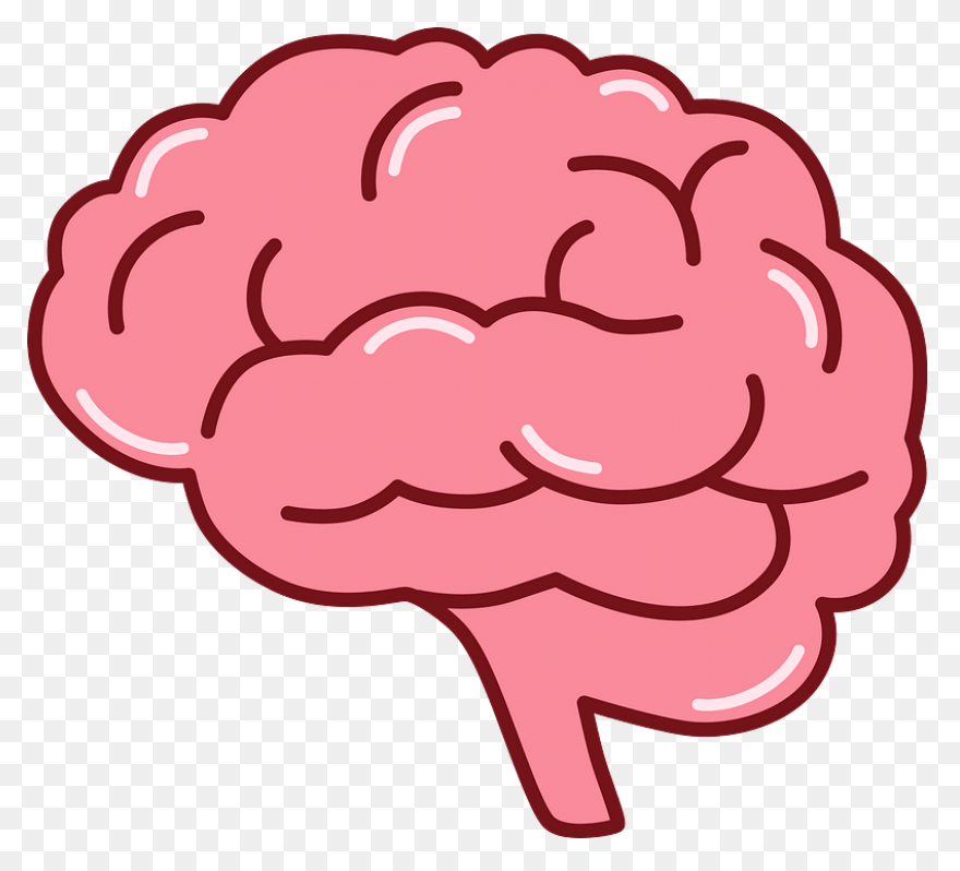 Lightbulb Clipart Human Brain - Bra