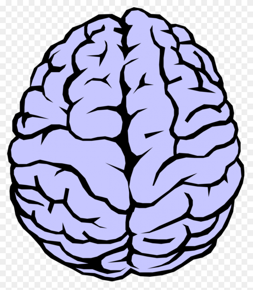Lightbulb Clipart Human Brain - Bra
