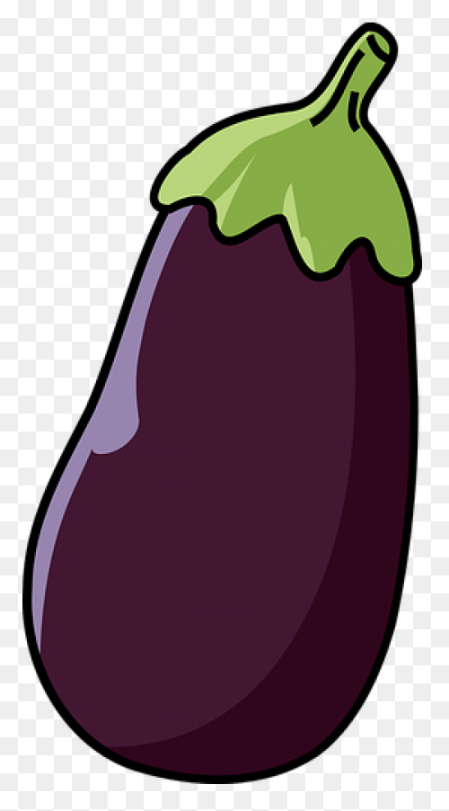 Brinjal, Eggplant, Vegetable Icon -