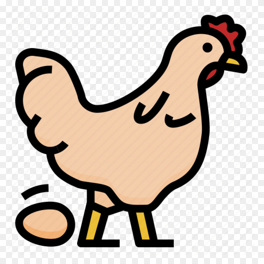 Broiler Chicken Png,
