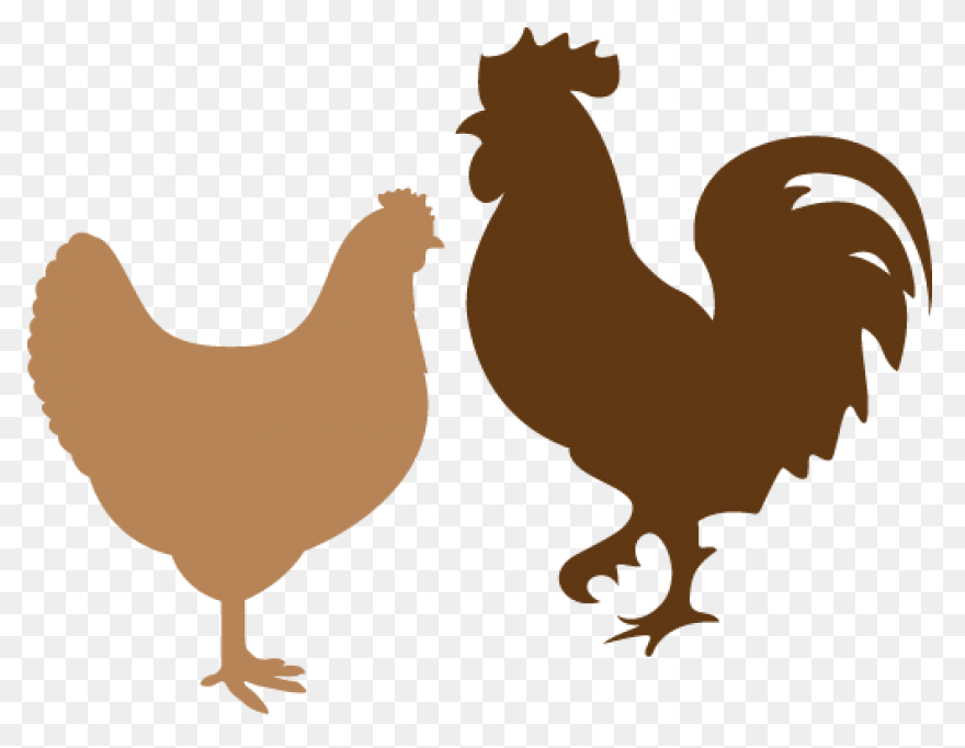 Broiler Chicken Png,