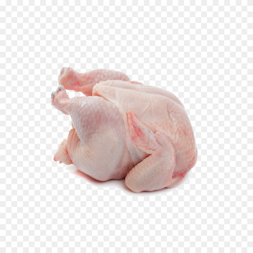 Broiler Chicken Png,