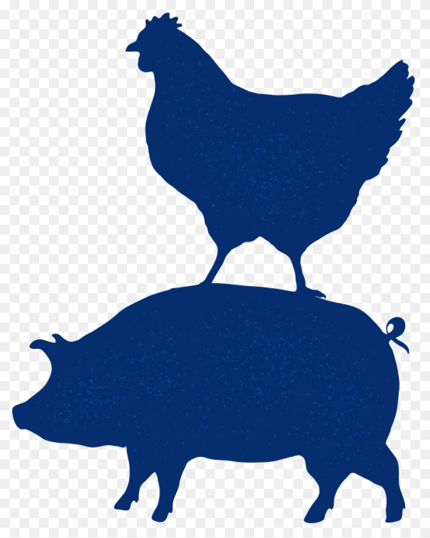 Broiler Chicken Png,