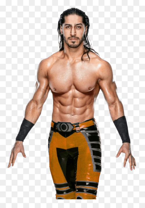 Bret Hart | Simpson Wiki En Españo