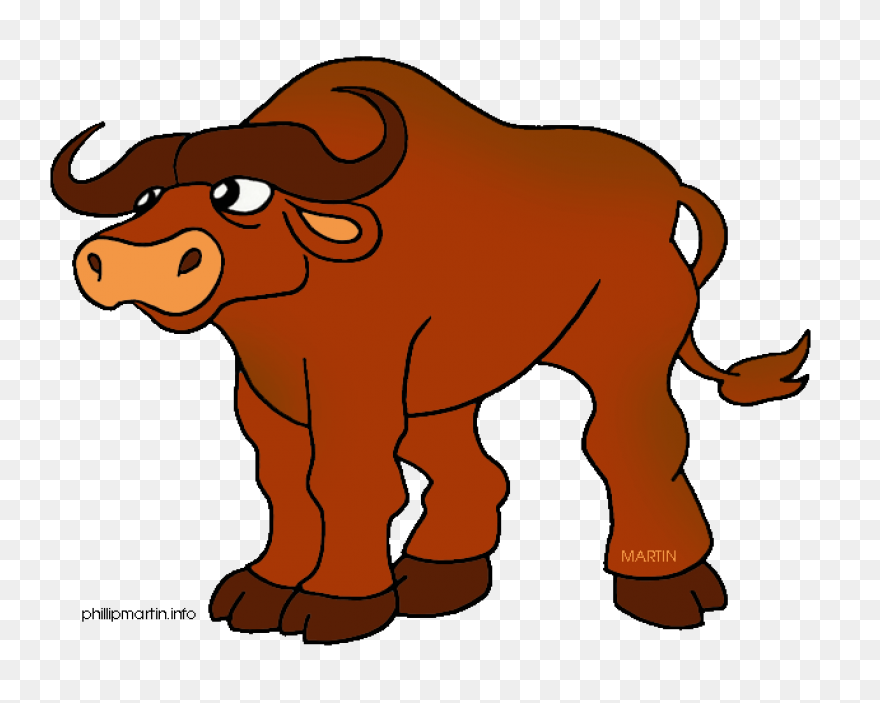 How To Draw Buffalo - Draw A Buffal