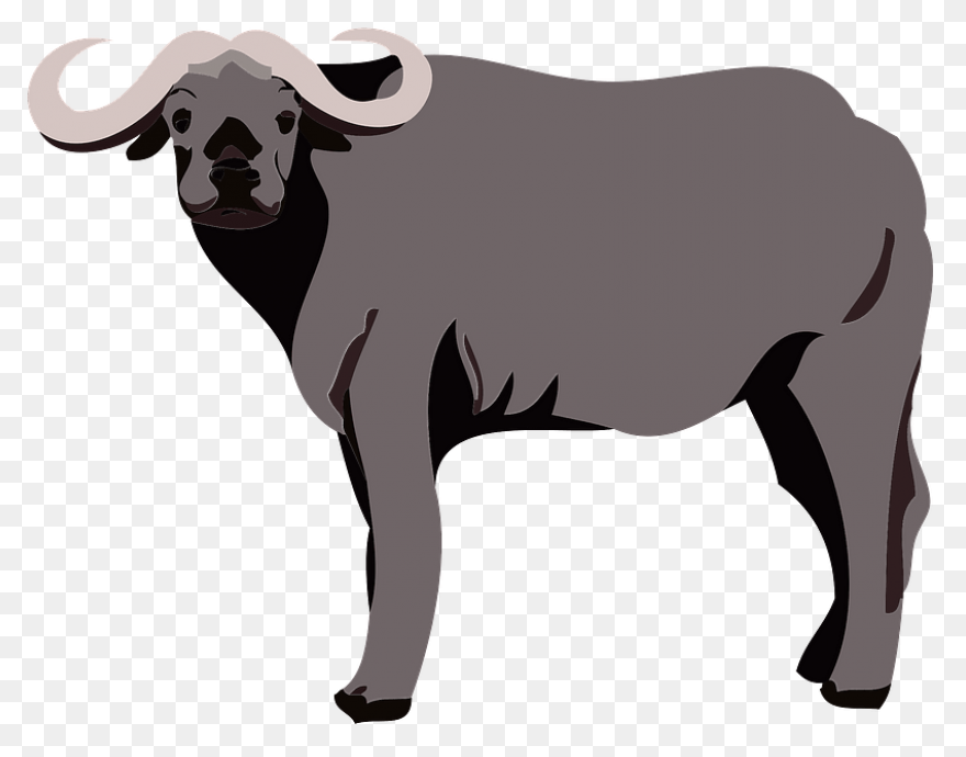 Buffalo Clipart Png Free Download - Buffalo