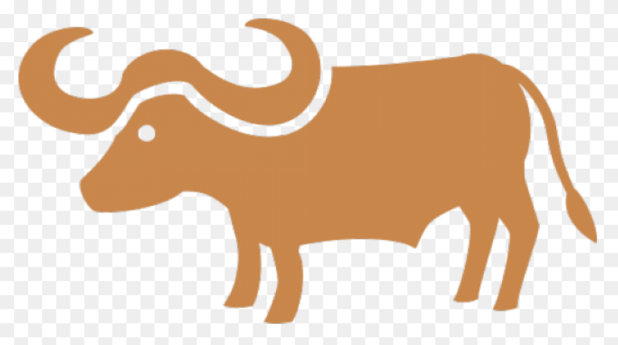 How To Draw Buffalo - Draw A Buffal