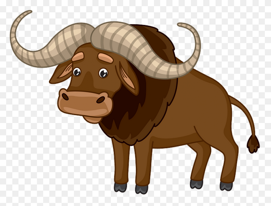 How To Draw Buffalo - Draw A Buffal