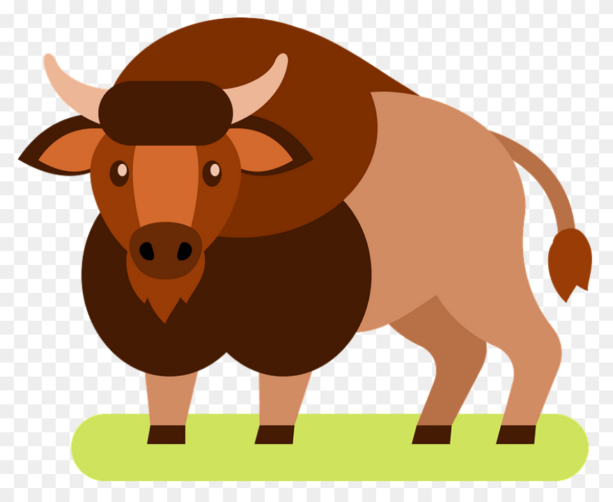 How To Draw Buffalo - Draw A Buffal