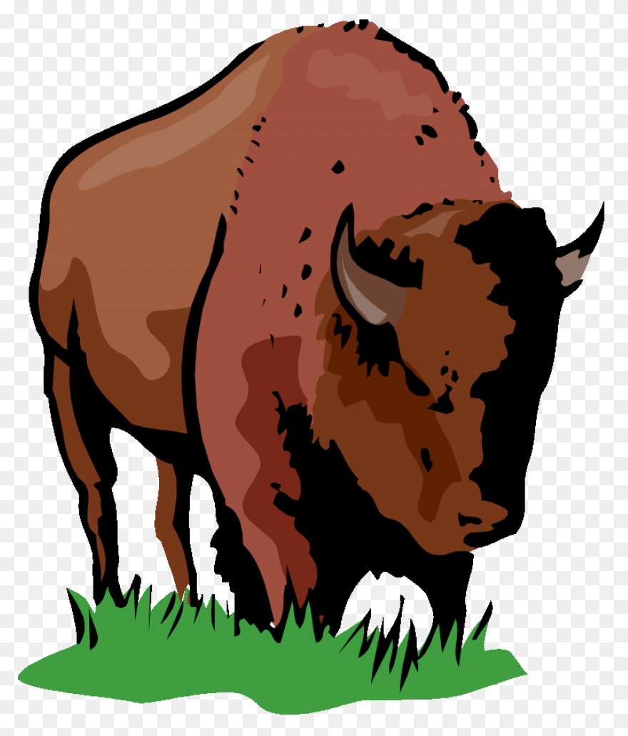 How To Draw Buffalo - Draw A Buffal