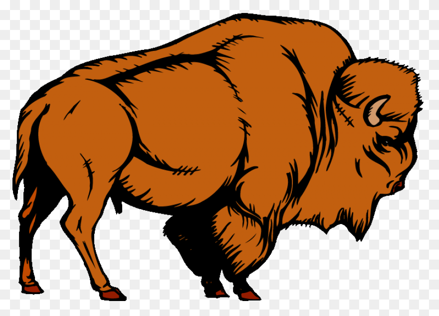 Free Buffalo Clipart 2  - Buffalo