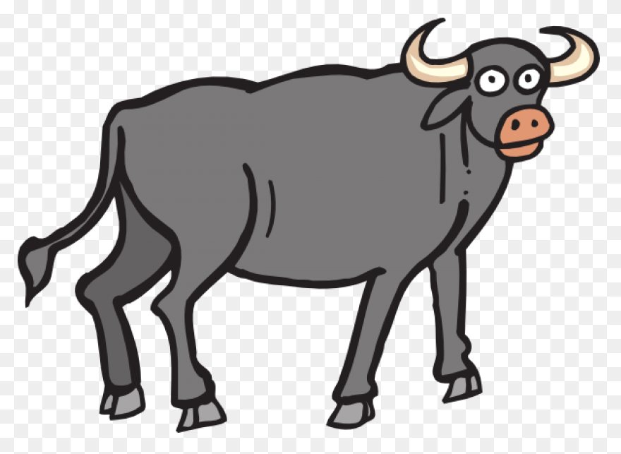 How To Draw Buffalo - Draw A Buffal