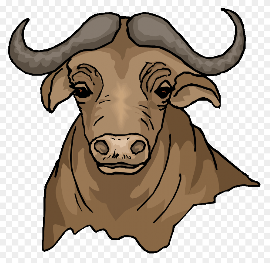 How To Draw Buffalo - Draw A Buffal