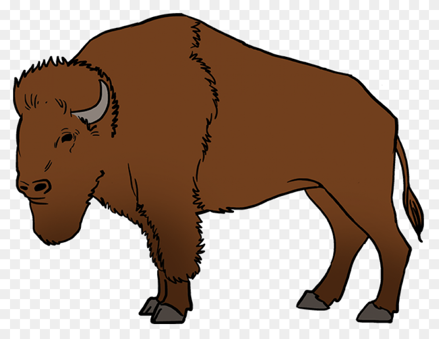 How To Draw Buffalo Draw - Buffalo