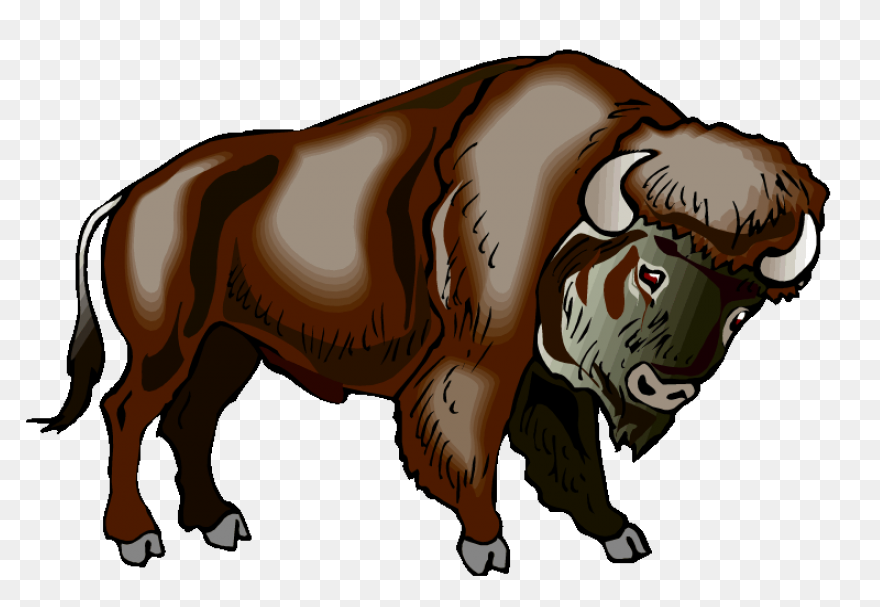 How To Draw Buffalo - Draw A Buffal