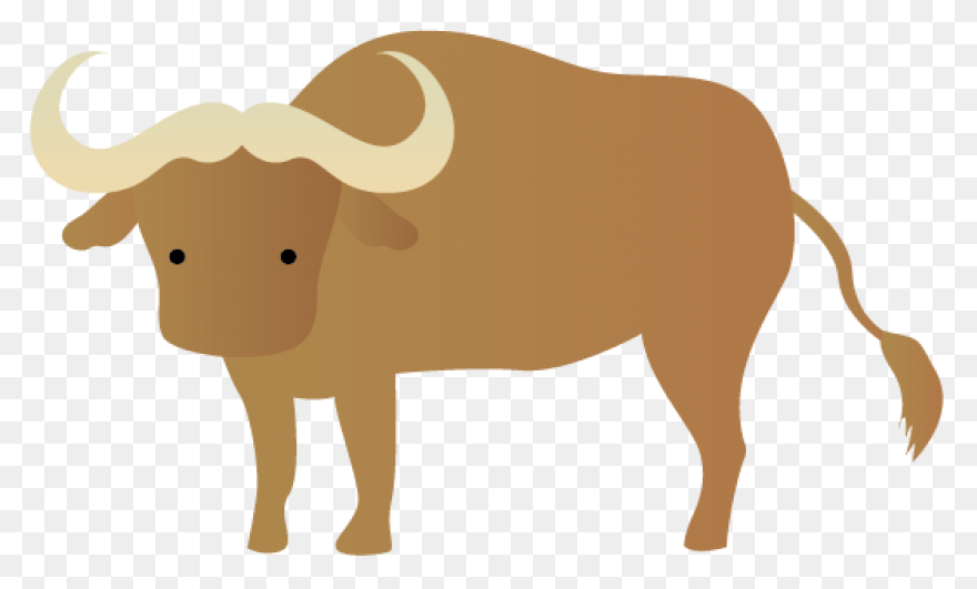 How To Draw Buffalo - Draw A Buffal