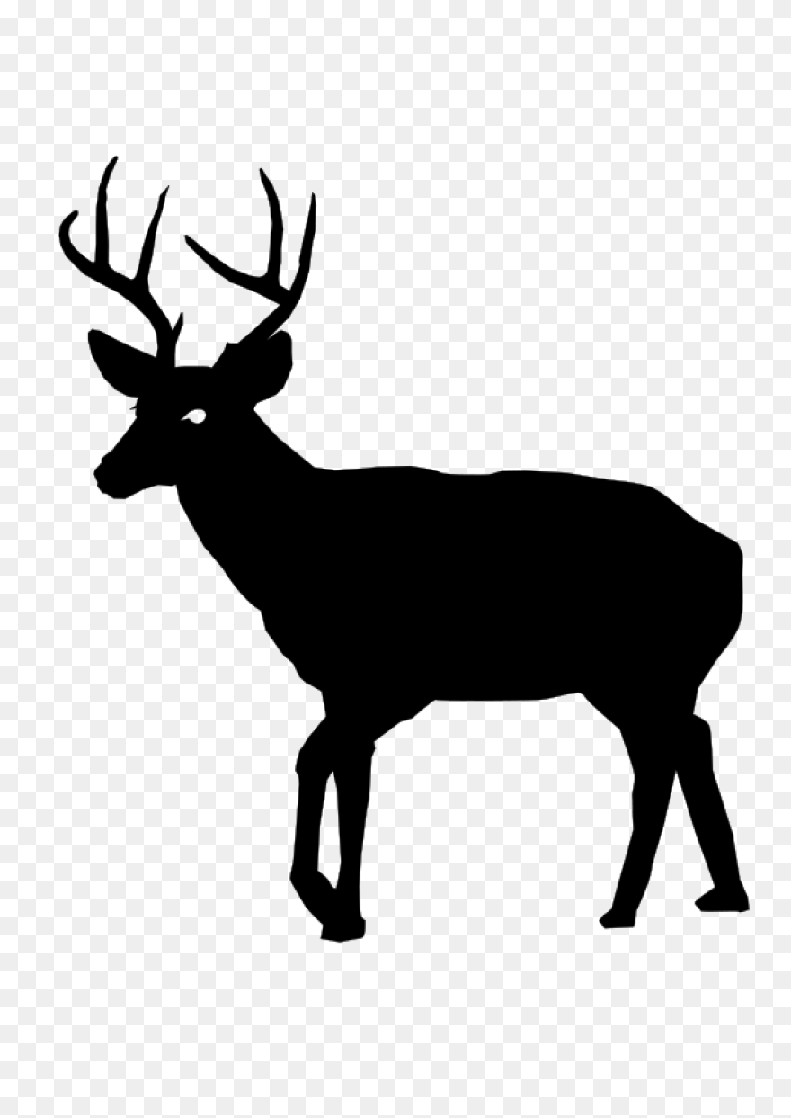 Patented Digital Antler Scoring App