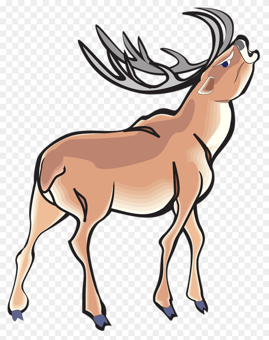 Patented Digital Antler Scoring App