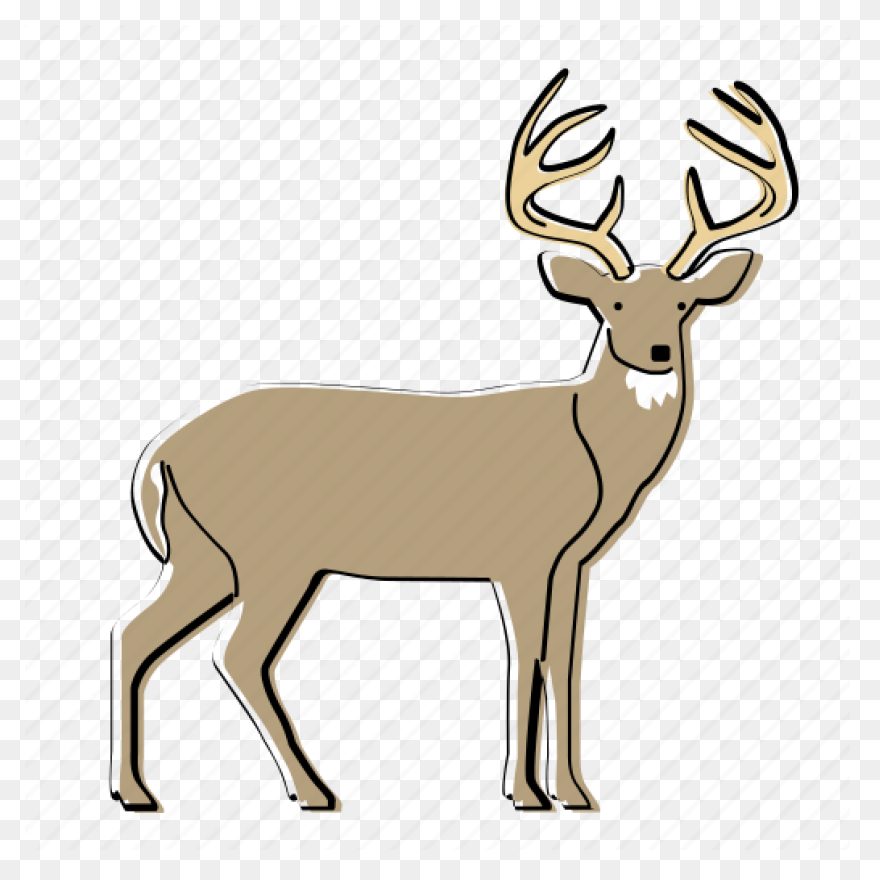 Patented Digital Antler Scoring App