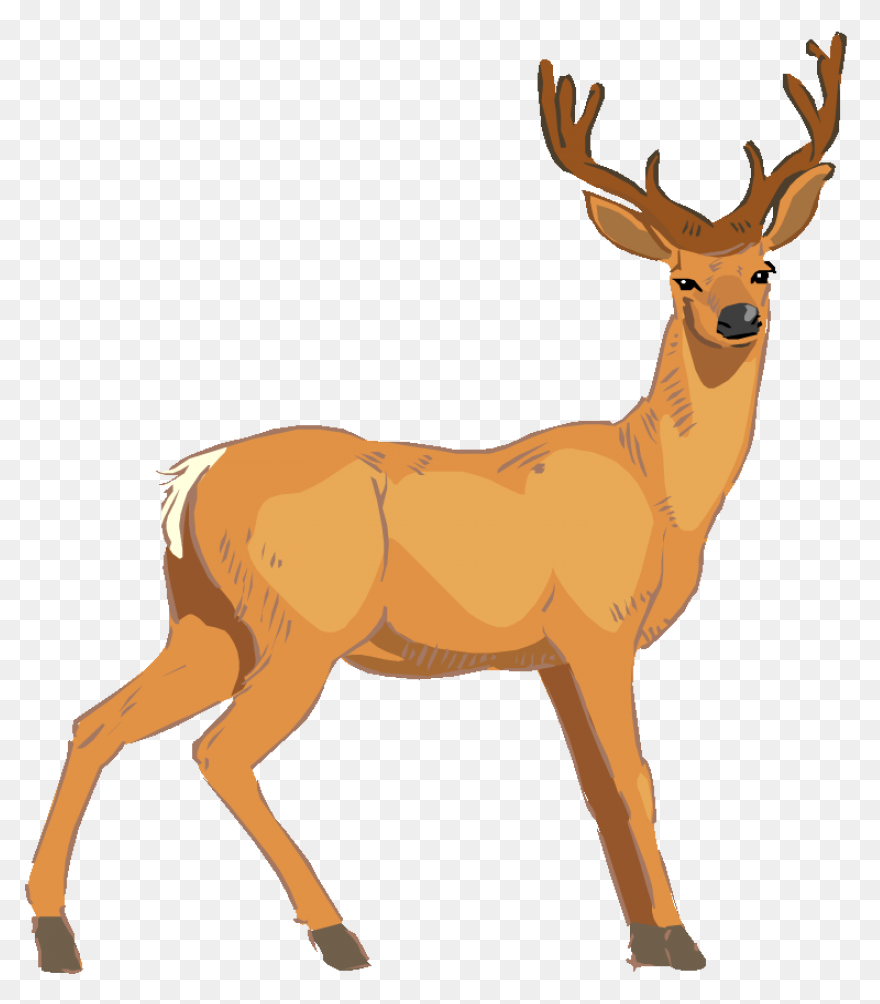 Patented Digital Antler Scoring App