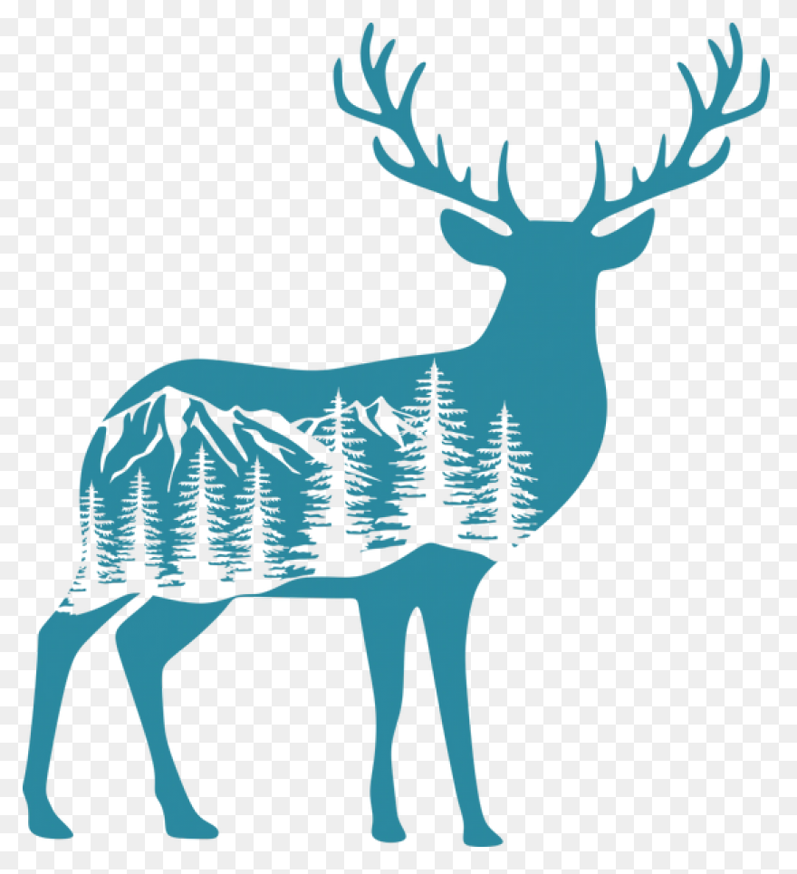 Patented Digital Antler Scoring App