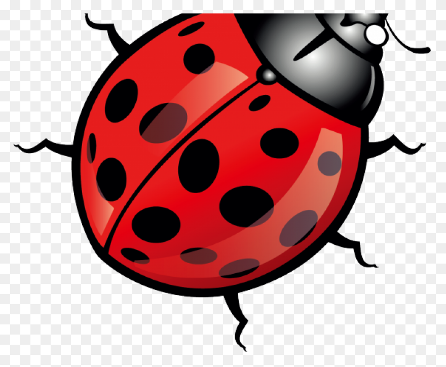 Lightning Bug Clip Art - ClipartFla