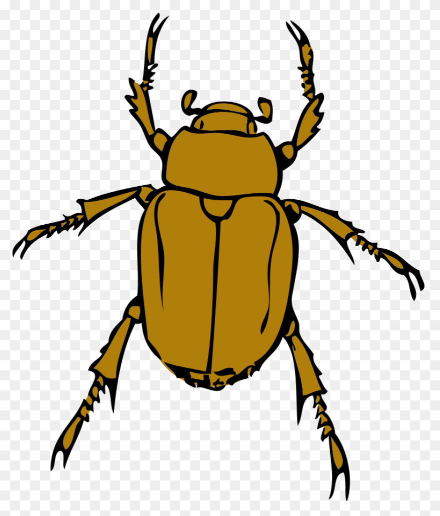 Lightning Bug Clip Art - ClipartFla