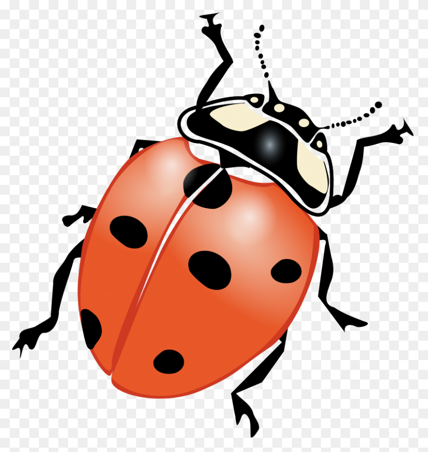 Lightning Bug Clip Art - ClipartFla