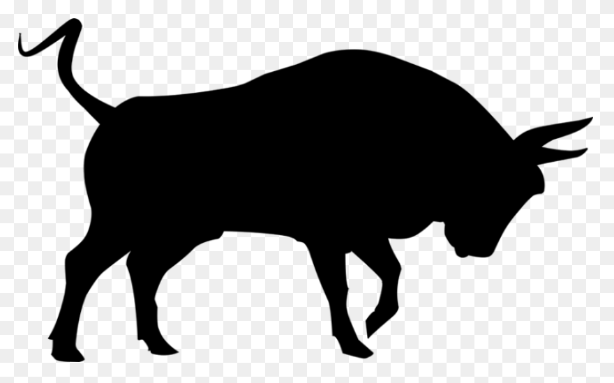 Cartoon Clipart Bull - ClipartFlare