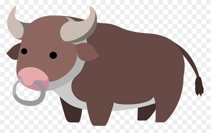 Cartoon Clipart Bull - ClipartFlare