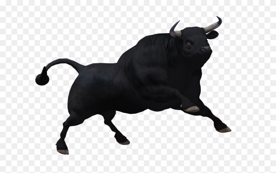 Cartoon Clipart Bull - ClipartFlare