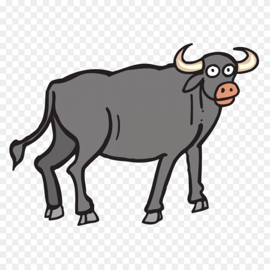 Cartoon Clipart Bull - ClipartFlare