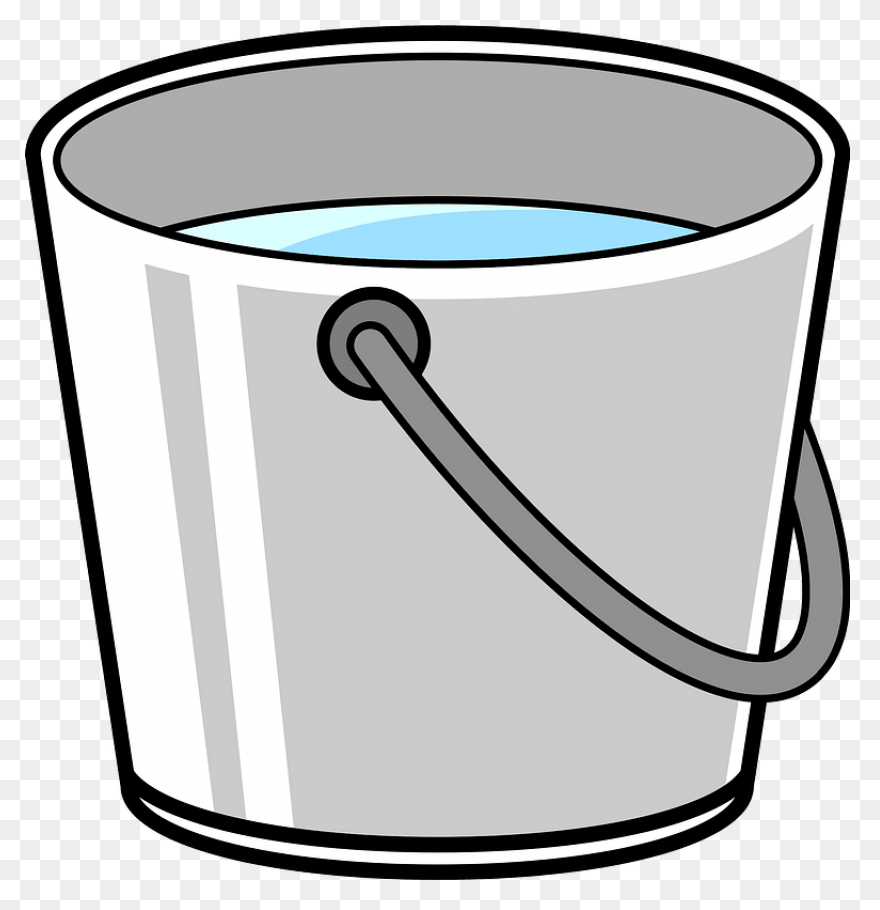 5 Gallons Saltwater (Includes Bucke