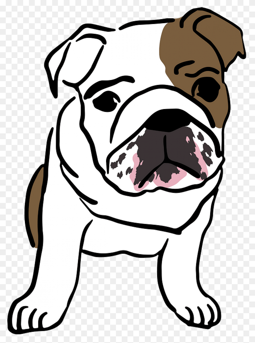 Bulldog Clipart Transparent Png Ima