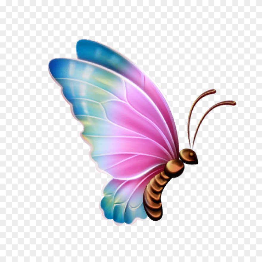 Free Butterfly Images Download Free - Butterfly