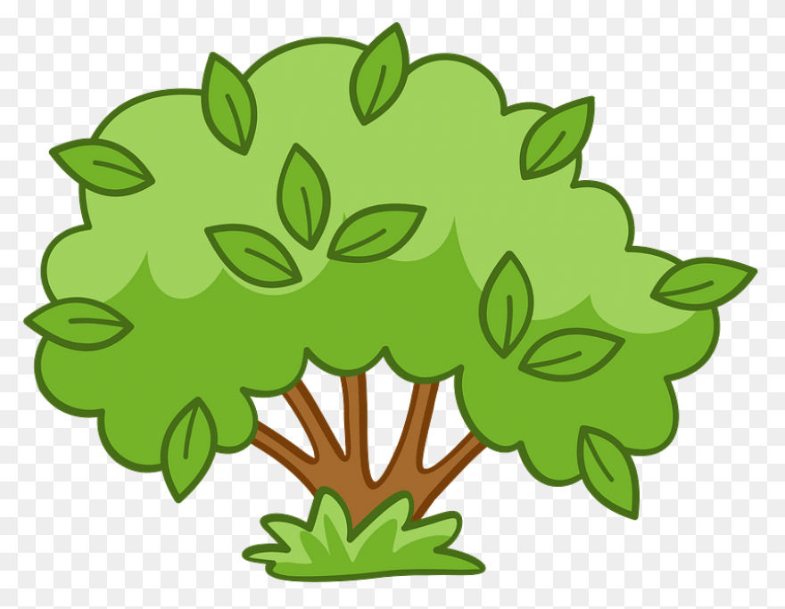Bush Foliage Gardening - Free Vecto