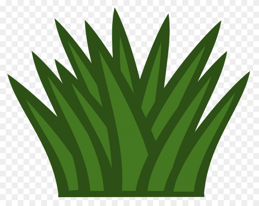 Bush Foliage Gardening Free Vector - Bush
