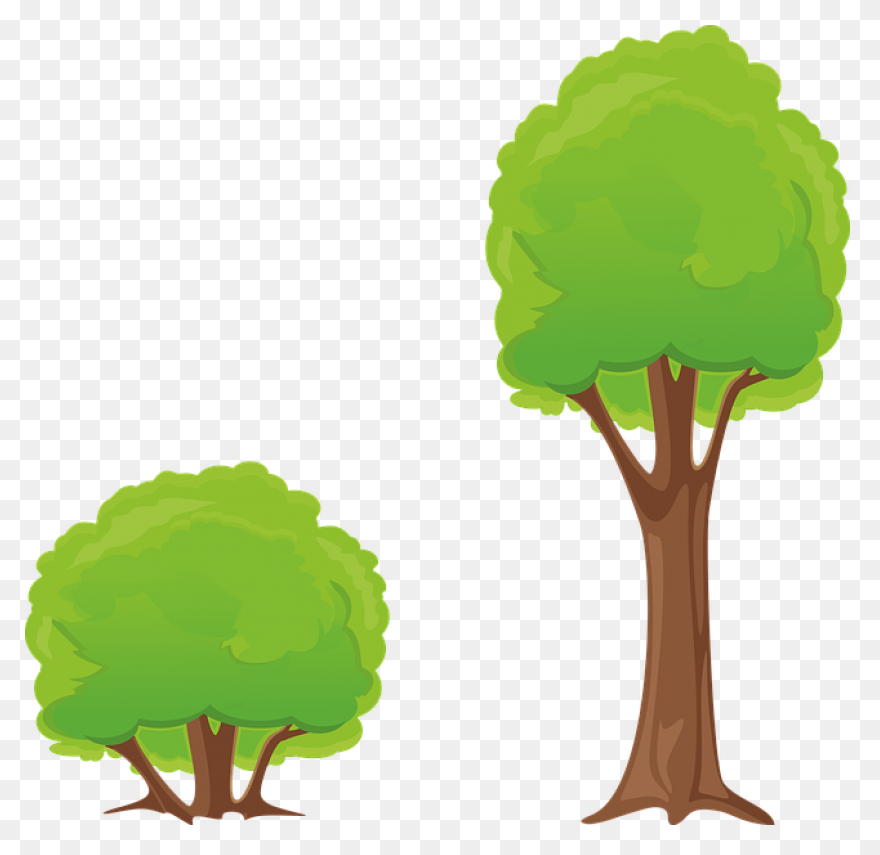 Bush Foliage Gardening - Free Vecto