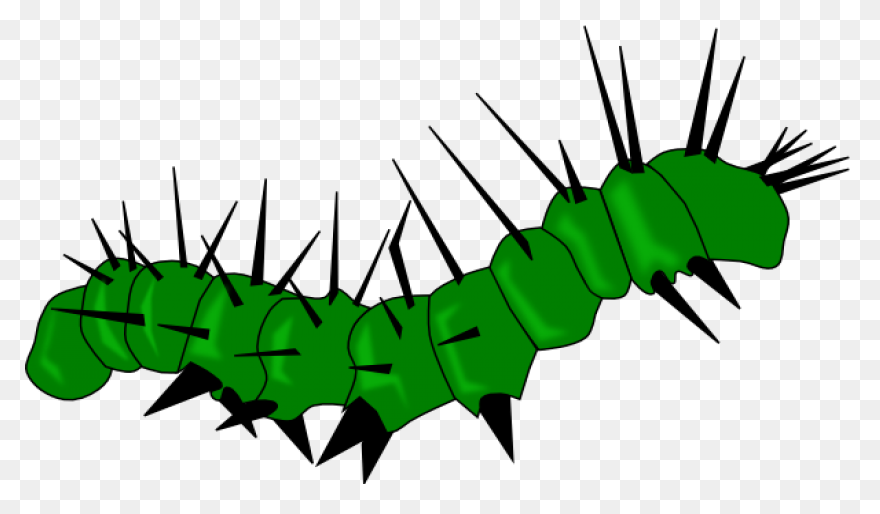 Caterpillar Monarch Butterfly - Fre